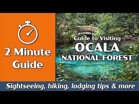 Ocala National Forest | Things to Do, Hiking, Camping | 2-Minute Guide