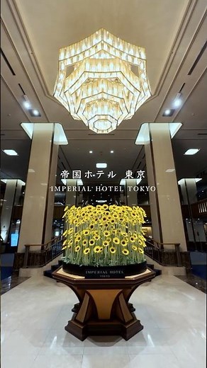 帝国ホテル東京 ショート動画 タワー館 #帝国ホテル #高級ホテル