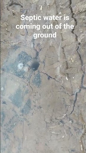 Failed septic system
