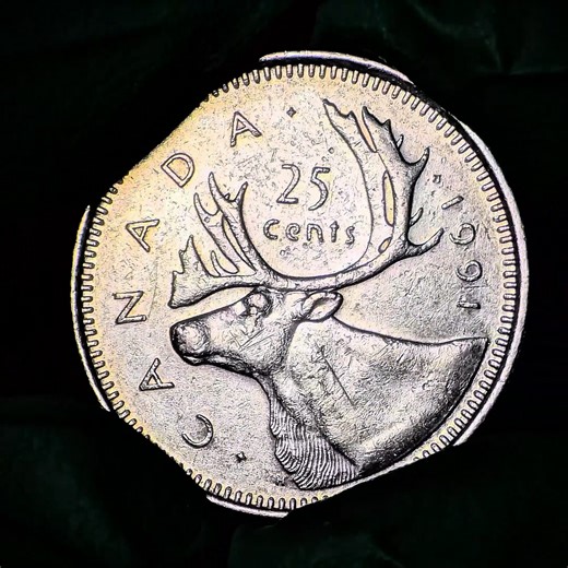 🚨1991 Canadian Quarter – Key Date Alert!🚨 This little coin packs a BIG punch for collectors! With only 459,000 minted, the 1991 quarter is the rarest modern Canadian quarter, uncirculated rolls can fetch $500–$1,000! 💰 Why it’s special: Ultra low mintage 🔹 Surviving coins are often worn 🔹 Collectors are hunting hard for these! 🔹 Specs: 100% nickel, 5.05g, 23.88mm, Reeded edge, magnetic Finding one? Even in circulation, they’re usually $10–$20 minimum. Imagine the thrill of spotting this ge