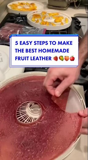 Easy Homemade Fruit Leather Recipe