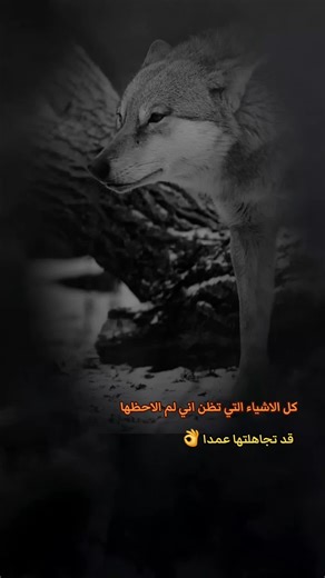 نصيحة مهمة عن الملاحظة في العلاقات
