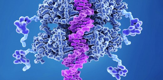 p53 is both your genome’s guardian and weakness against cancer – scientists are trying to repair or replace it when it goes awry