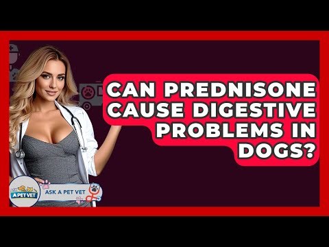 Can Prednisone Cause Digestive Problems In Dogs? - Ask A Pet Vet