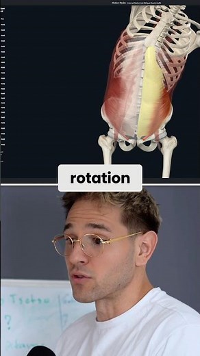 Trunk Rotation Obliques Anatomy and Core Function Explained