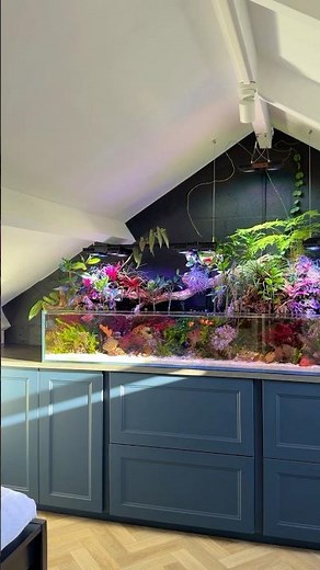 What Do You Think of My Saltwater Paludarium 👀🪸