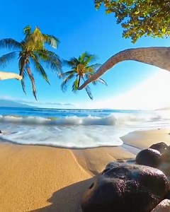 113K views · 4.7K reactions | Dreaming of tropical vibes ❤️️ #hawaii #beaches #polynesia | 100% Hawaii | Facebook