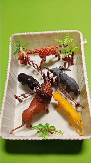 Wild Animal Toys Zoo Setup! 🦁🐘 Mini Jungle Diorama #shorts