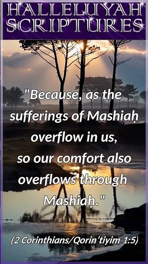 Our Comfort