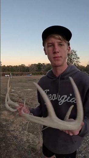 How to use deer antlers DIY