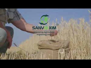 Organic Wheat Farming Tips