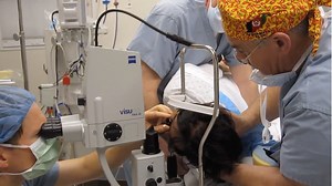 Lateral Decubitus Position for Pediatric YAG Capsulotomy - Eyetube