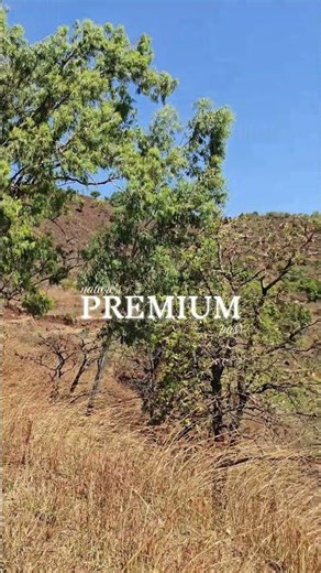 best place in satara #nature #youtubegrowth
