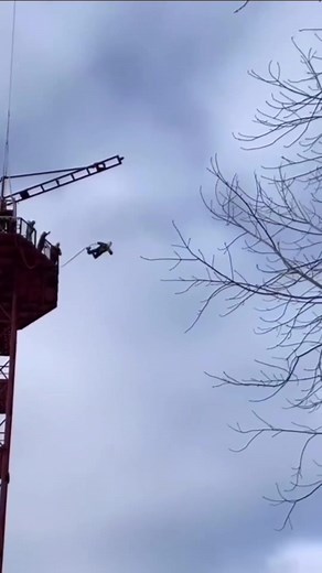 DC SHOES. 100% ORIGINAL💯