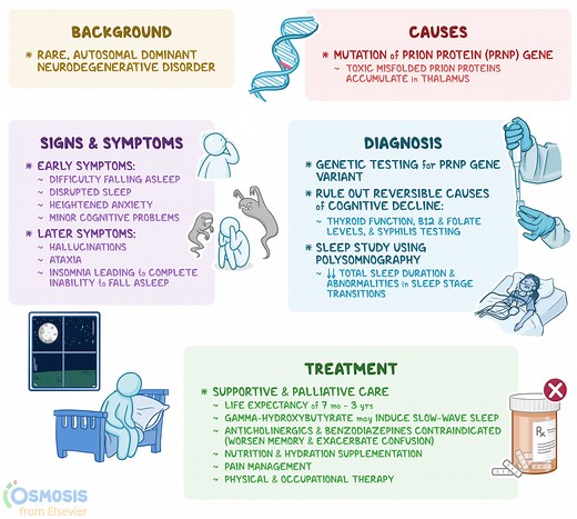 Fatal Familial Insomnia: What It Is, Causes, Signs and Symptoms | Osmosis