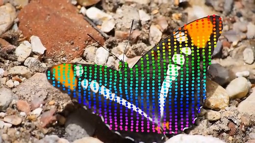 New Method of Tracking 2D Pixels in 3D Space