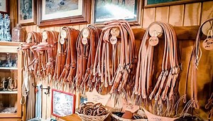 96 reactions · 47 shares | Here’s a great spot to stop and shop when you’re in the Osage - Jeff Wade Saddlery in downtown Barnsdall, Oklahoma! From custom handmade saddles, to tack, and ranch gear - Jeff Wade has a great supply and a friendly smile! #OsageCountyOklahoma #TheSmilesAreAlwaysFree 鸞 #Barnsdall Barnsdall Chamber of Commerce | Visit The Osage - Osage County, Oklahoma | Facebook