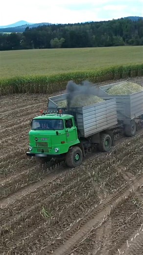 Agriculture Germanyy (@agriculture_germanyy)’s videos with Still Don't Know My Name - Labrinth