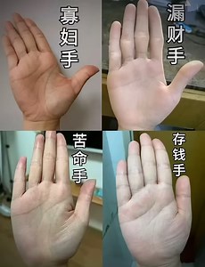 数据比比 on Instagram: "几种常见手相解析，看看你属于哪一种类型？每条掌纹都藏着命运的密码！#手相 #掌纹 #命理 #相学 #风水 #吉隆坡 #槟城 #马来西亚"