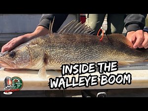 Inside the Walleye Boom: Fast Growth, Big Bites & Hatchery Heroes