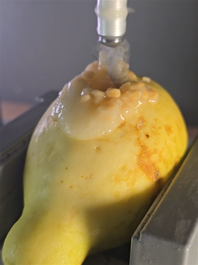 Curious About Uncommon Fruits?