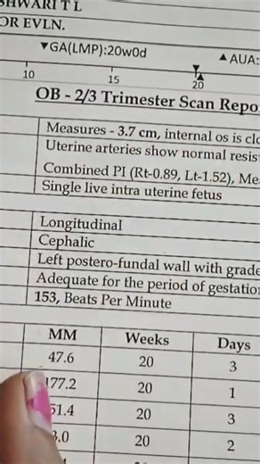My 5th Month Anomaly Scan Report | Full Pregnancy Scan Explained #anomalyscan #pregnancyscan