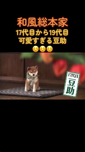 #和風総本家17代目から19代目豆助