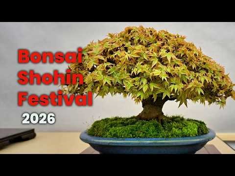 Bonsai Shohin Festival - 2026