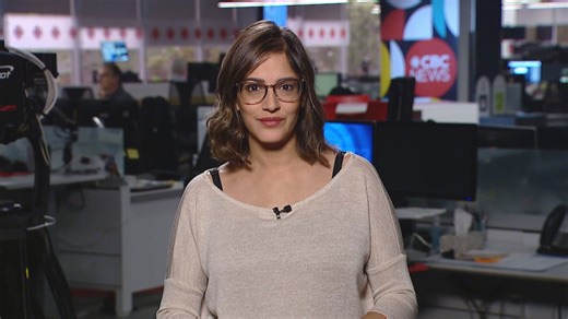 CBC Calgary Headline News July 14: Hailstorm aftermath, mosquito update & 2025 Stampede attendance