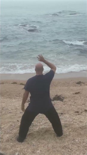 Kidney & Circulation/Pericardium organ meridians #qigong #qigongpractice #kidneyhealth #river