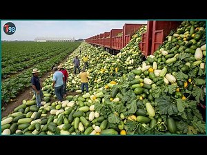 The Giant 2026 Harvest Has Started 🔥 Millions of Tons of Crops Are Being Collected Everywhere