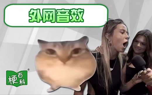 【梗百科】巴巴博一到底出自哪里？Hawk Tuah？外网热门音效梗！