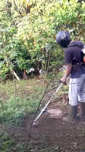 gardening #gardencleanup #satisfying #lawn #lawncare #lawnmowingbusiness
