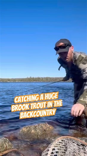 Catching a HUGE Brook trout that fought like crazy 🎣#fishing #troutfishing #fishnovascotia