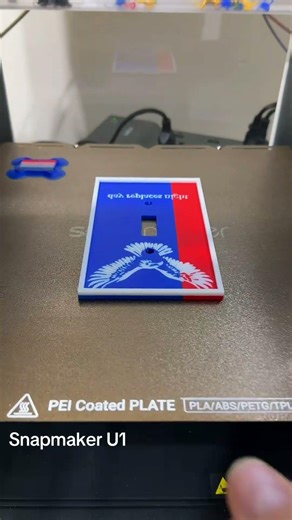 Eagle Power Switch Plate 🇺🇸 | 3D Printed Wall Decor | “Day Replaces Night”