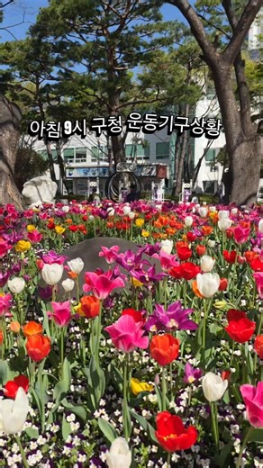 구청직원보더 더 빠른 하루시작 #남포동 #자갈치 #운동 #헬스 #건강 #건강습관 #아침 #아침루틴