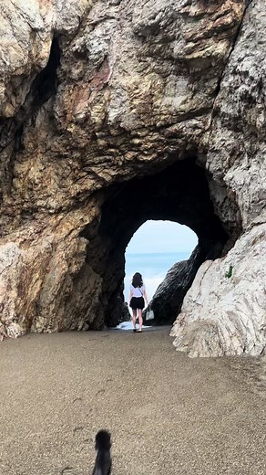 犬との楽しい旅行の思い出