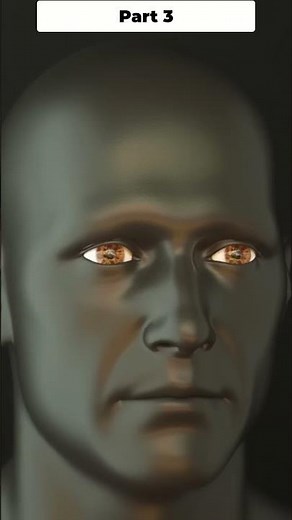 Nearsightedness Explained How Glasses Fix Blurry Vision