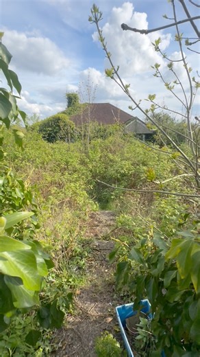 107K views · 1.6K reactions | Abandoned overgrown house taken by the overgrowth. Sadly just left. Dark Explores UK | Dark Explores UK | Facebook