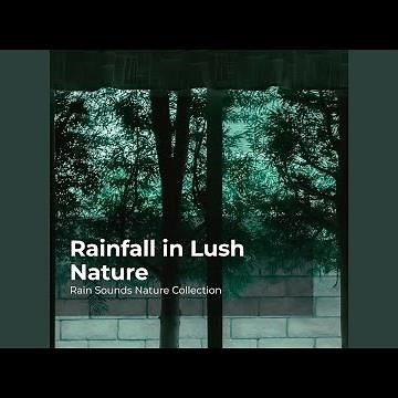 Paradise Rain Showers