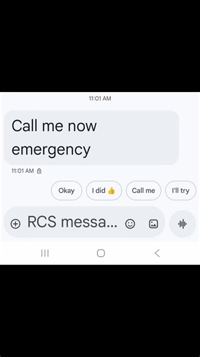 ALERT ALERT! A JERSEY IS ALWAYS THE CLUPRIT OF AN OPEN GATE. FULL STOP. 😂😂😂 #family #farmlife #dairyfarming #agriculture # | Action Farms Maine Coons