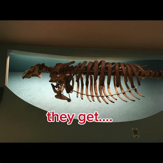 #capcut #edit #shortvideo video ini masih ditahan