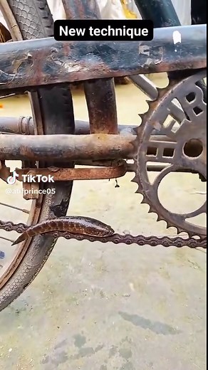 Top 5 Comedy Movies You Must Watch