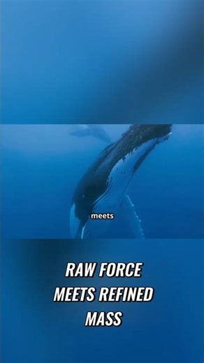 Shark vs Blue Whale: Speed vs Size — Who Really Wins?