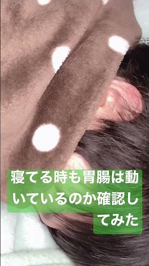 ASMR お腹の音（睡眠中）/belly sounds（sleeping）