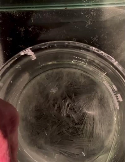 Crystallization in a saturated sodium acetate solution.