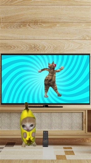 Baby Elgato takes the AC Remote & Banana Cat Cries 🐱❤️ #catmemes #cat #shorts #fyp #bananacat