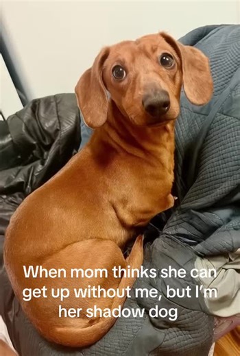 Wouldn’t have it any other way!