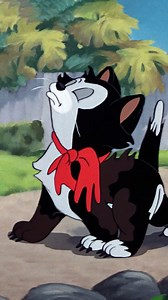 174K views · 8.9K reactions | A classic tale of one kitty, one tub, and one determined Minnie. 﫧 Bath Day is available on Disney+ . | Minnie Mouse | Facebook