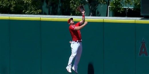 Flying fish! Trout leaps for impressive home run robbery